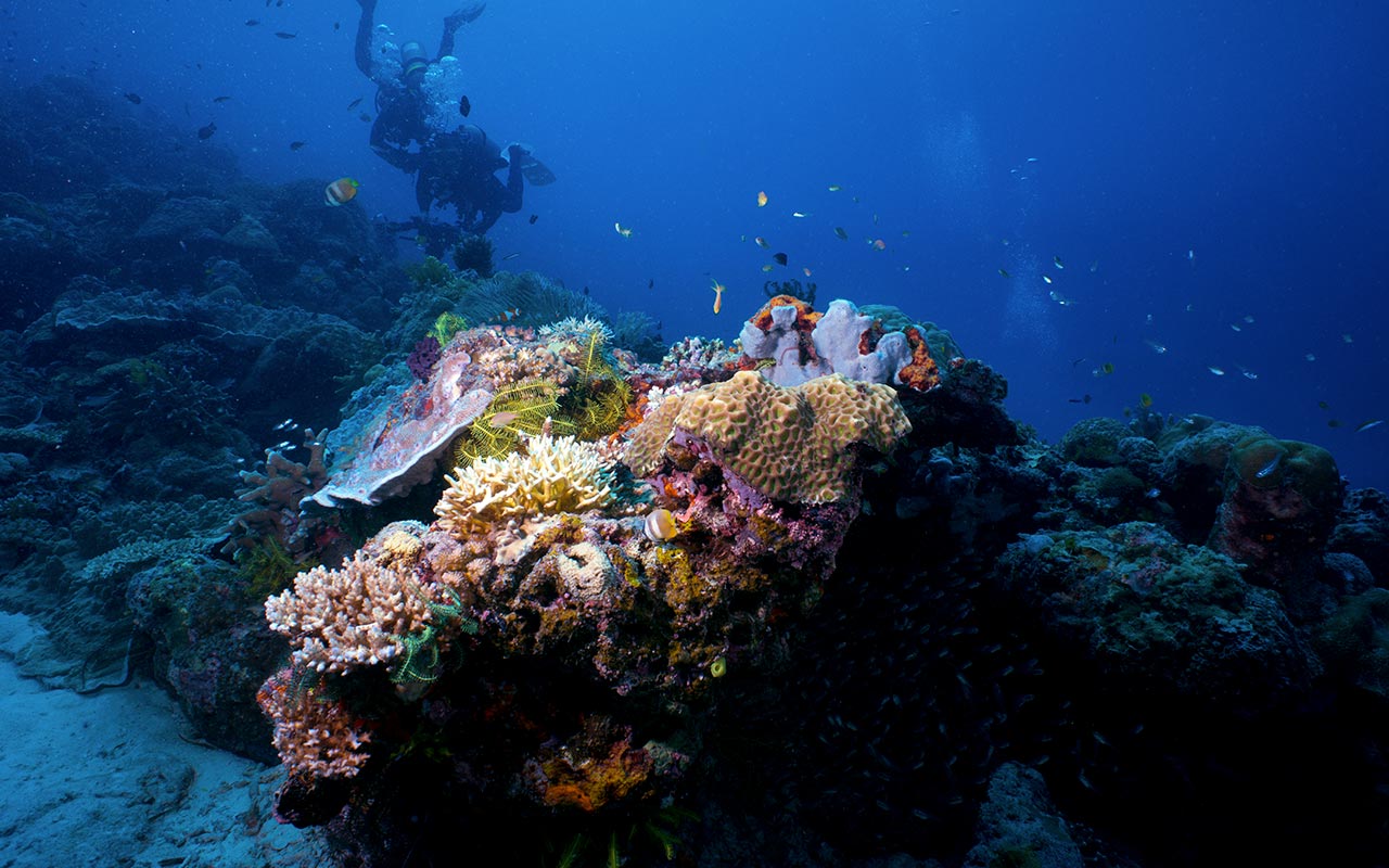 MATAKING-ISLAND-24