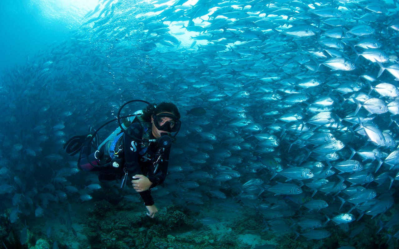 SIPADAN-ISLAND-32